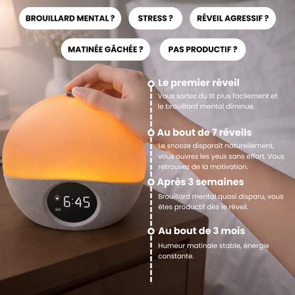 Simulateur d'aube - SOLA