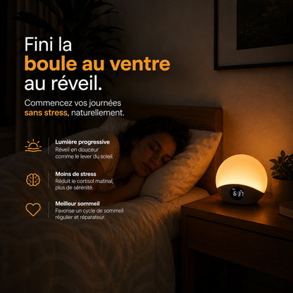 Simulateur d'aube - SOLA
