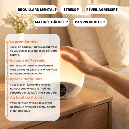 Simulateur d'aube - SOLA